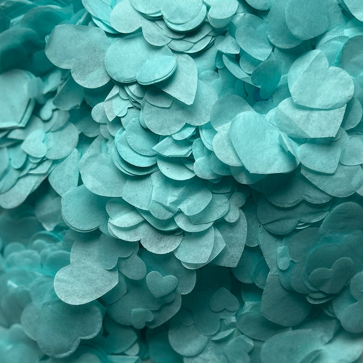 Robin Egg Blue