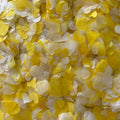 Buttercup Canary White Mix