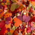 Moorland Mix biodegradable heart confetti