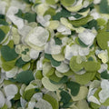 Evergreen Mix