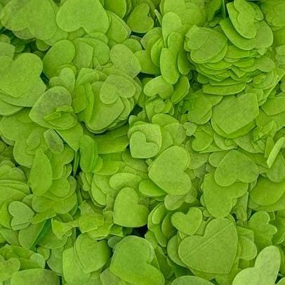 Fern Mix