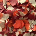 Terracotta Sherry Ivory Mix