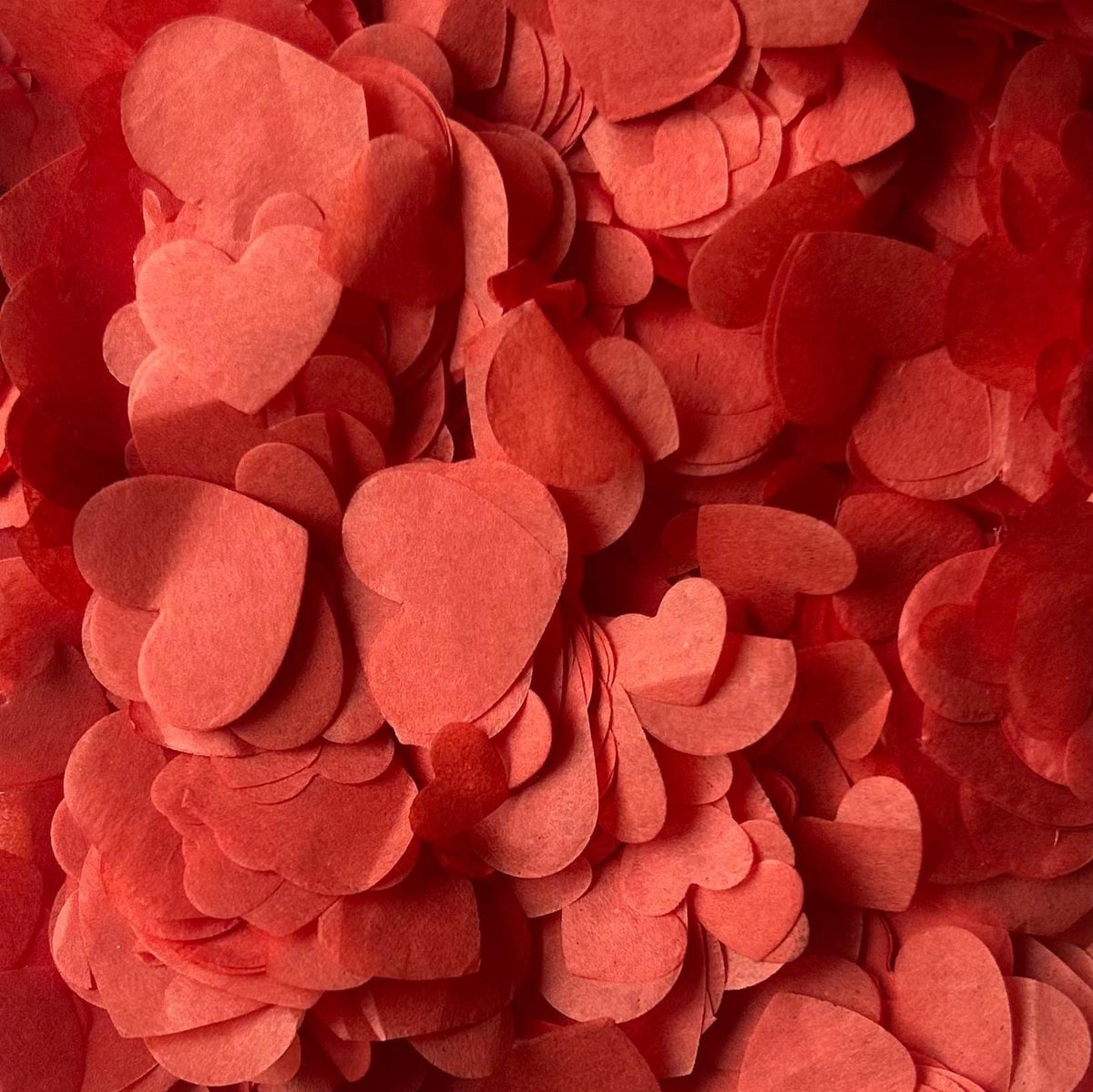 Terracotta Sherry Ivory Mix