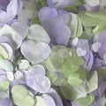 Lavender Willow White Mix