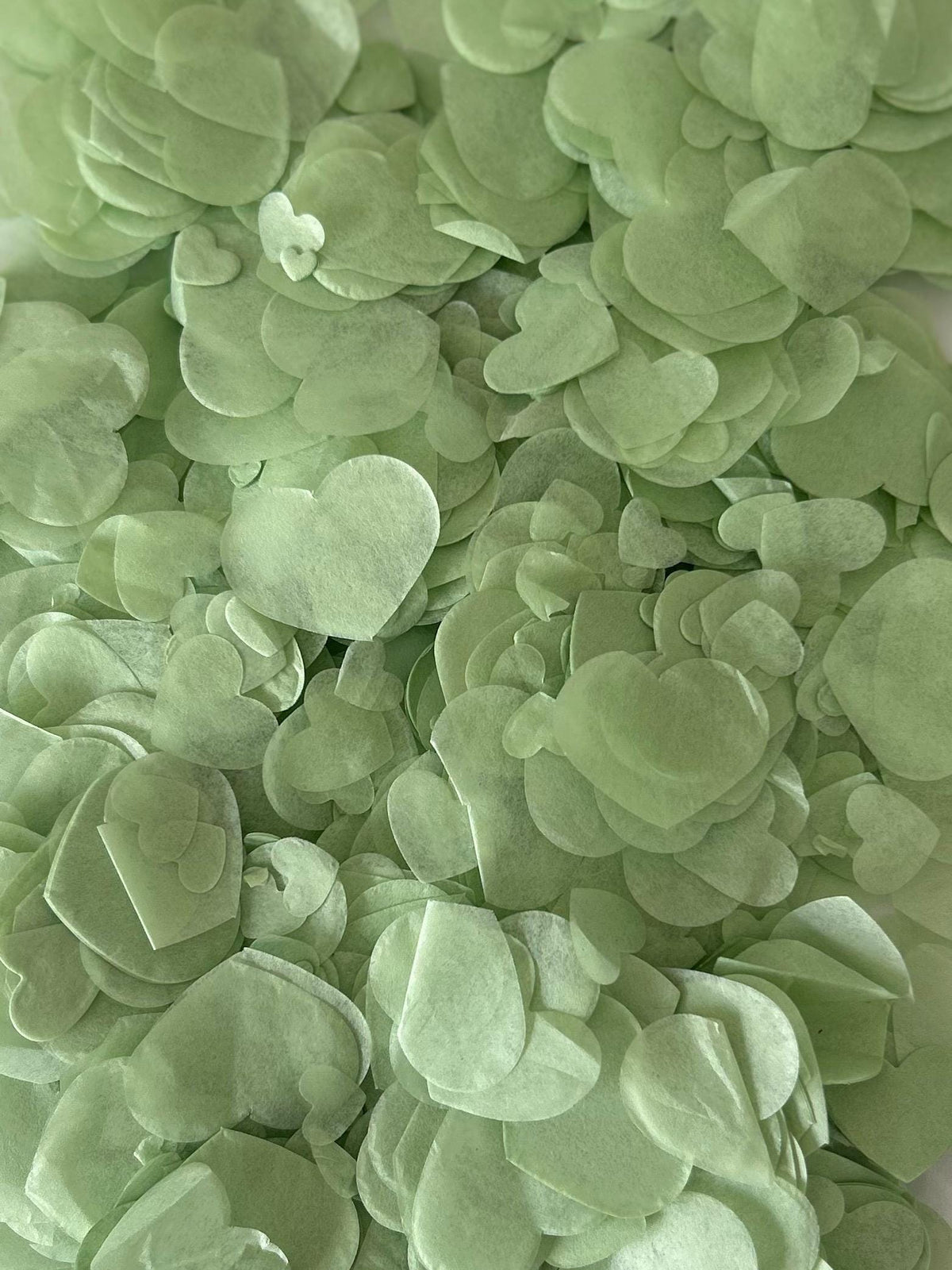 Woodland Gold Mix